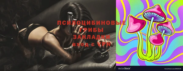 стаф Абдулино